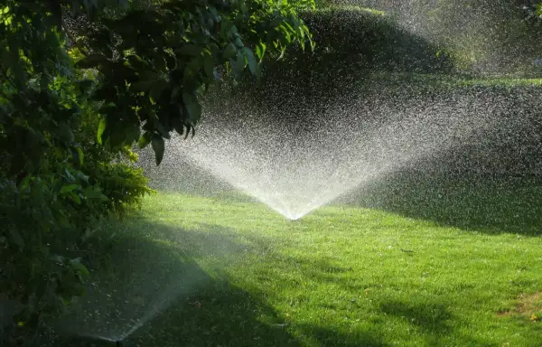 Aspersor en acción, creando una fina lluvia para el riego del césped verde y frondoso.