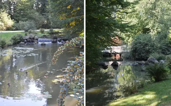 Urokliwe jeziora w parku mużakowskim, z kaskadą i mostkiem, otoczone zielenią. Kaczki pływają po spokojnej wodzie.