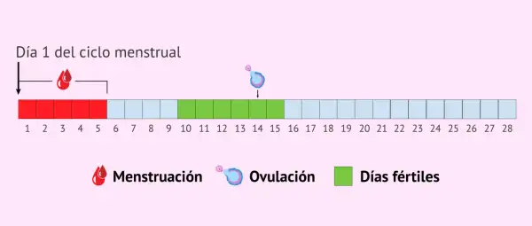 Diagrama del ciclo menstrual: días de menstruación (rojo), ovulación (rosa) y días fértiles (verde) para ayudarte a quedarte embarazada.