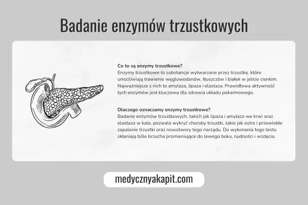 Ilustracja przedstawia trzustkę i wyjaśnia, jak zbadać trzustkę poprzez badanie enzymów. Pomaga to wykryć choroby tego narządu.