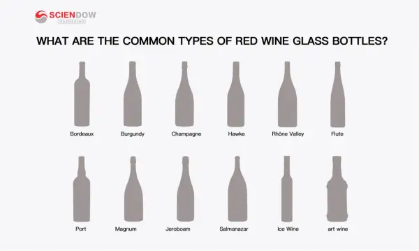 Illustrazione dei diversi nomi bottiglie vino: Bordeaux, Burgundy, Champagne, Hawke, Rhône Valley, Flute, Port, Magnum, Jeroboam, Salmanazar, Ice Wine, art wine.