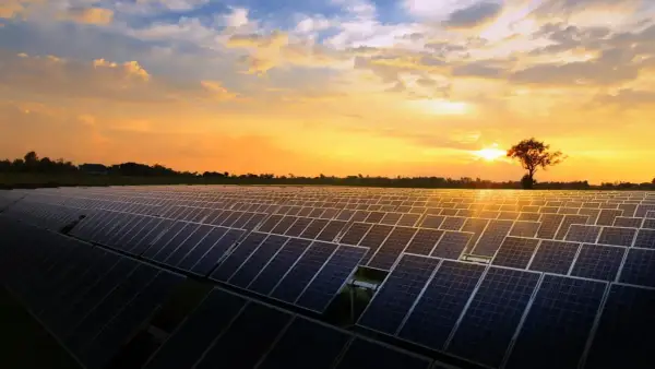 Un vasto campo de placas solares refleja el atardecer dorado. El sol se oculta tras un árbol solitario, iluminando el cielo con tonos naranjas y amarillos.