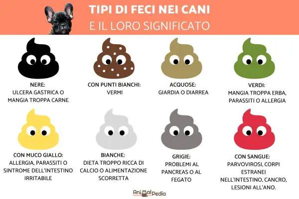 Guida illustrata sui tipi di feci nei cani e il loro significato. Colori diversi indicano problemi di salute, da vermi a ulcere.