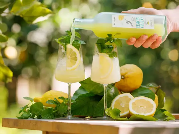 Limoncello wie trinken? Ein erfrischender Drink mit Zitrone und Minze wird in Gläser gegossen.