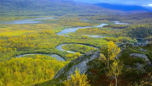 Vacker höstfärgad natur med en slingrande flod i Vadvetjåkka nationalpark.