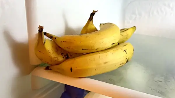 Kilka żółtych bananów leży na półce w lodówce. Czy banany można trzymać w lodówce? Tak, można, ale skórka może ściemnieć.