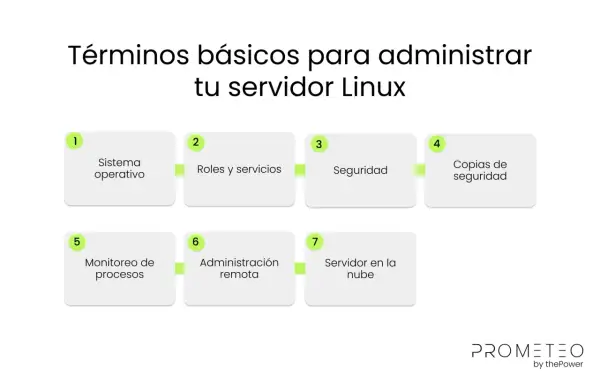 Diagrama de términos básicos para administrar un servidor Linux: sistema operativo, roles, seguridad, copias, monitoreo, administración remota y servidor en la nube.