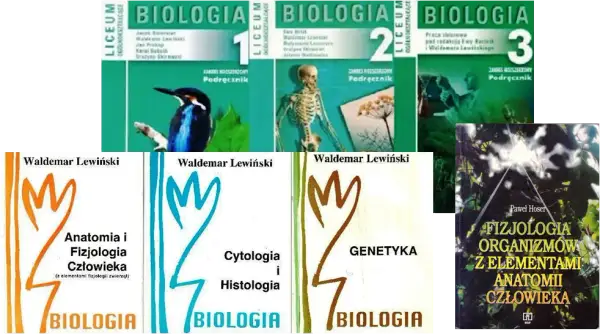 Jakie repetytorium do matury z biologii wybrać, aby zdać bez stresu?