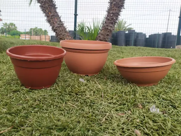 Cómo elegir la mejor pintura para macetas de barro y evitar errores