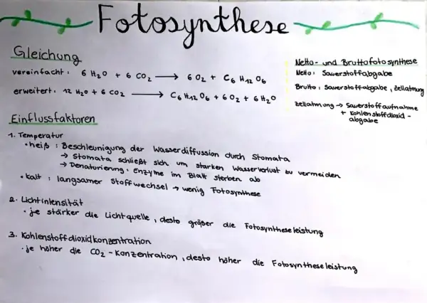 Die reaktionsgleichung fotosynthese wird erklärt, mit Einflussfaktoren wie Temperatur, Lichtintensität und CO₂-Konzentration.