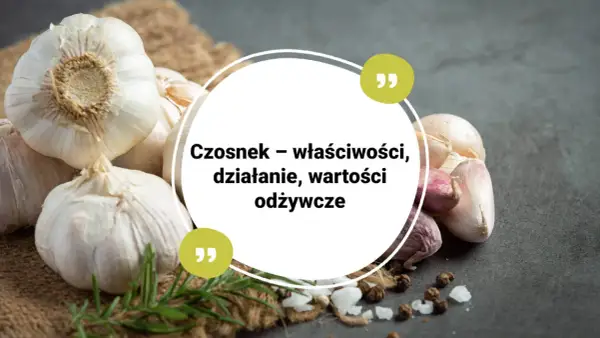 Czosnek – właściwości, działanie, wartości odżywcze. Kilka główek czosnku na tle jutowego worka i ciemnego blatu.