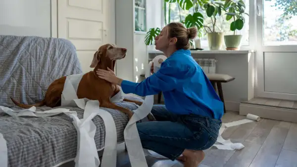 Frau versucht, ihren Hund zu beruhigen, der in Klopapier eingewickelt ist.