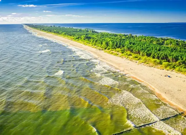 Plaża z sosnowym lasem w tle. Falochrony łagodzą fale, tworząc wrażenie najcieplejszej wody w Bałtyku.