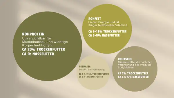 Grafik zeigt Nährwerte für Hundefutter. Rohfaser fördert die Verdauung: ca. 0,5-2,5% im Trockenfutter, 0,5-2% im Nassfutter.