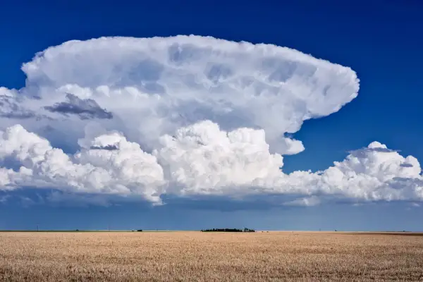 Potężna chmura burzowa w kształcie grzyba wznosi się nad polem dojrzałej pszenicy, pokazując, jak wysoko są chmury.