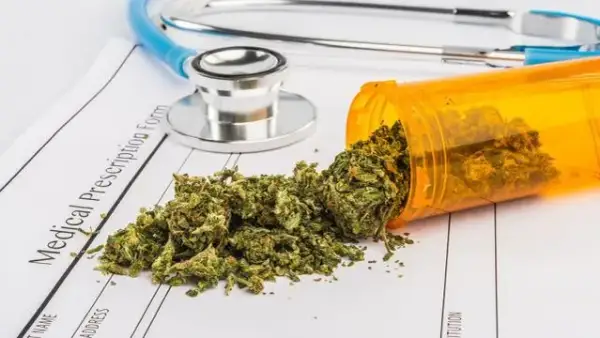 THC na receptę? Jak legalnie uzyskać medyczną marihuanę w Polsce