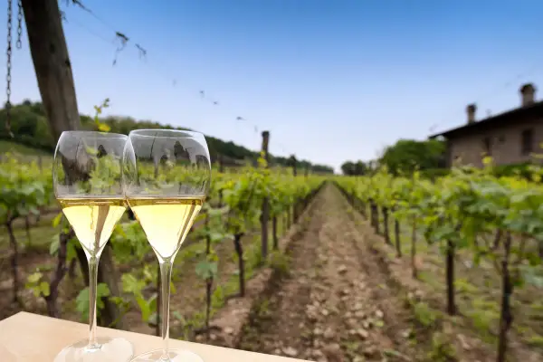 Due calici di Franciacorta metodo classico, con vigneti e una casa in lontananza sotto un cielo azzurro.