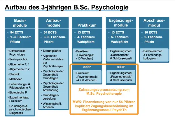 Aufbau des polyvalenten Bachelor Psychologie: Basis-, Aufbau-, Praktikums-, Ergänzungs- und Abschlussmodule.