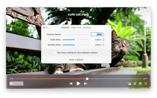 A cute cat video on a Mac is not playing. The playback speed is set to 100%, with no audio or subtitle delay.