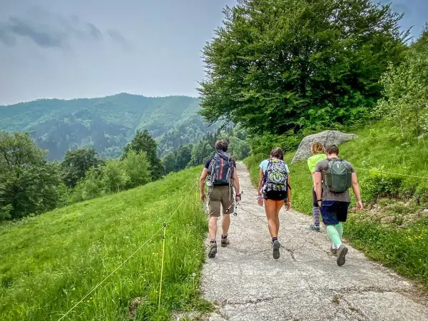 Un gruppo di amici fa delle **passeggiate in montagna vicino a Milano**, godendosi il verde lussureggiante e le colline ondulate.