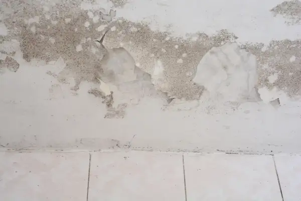 Schimmel und abblätternde Farbe an einer feuchten Kellerwand. Was tun gegen den Schimmelbefall?