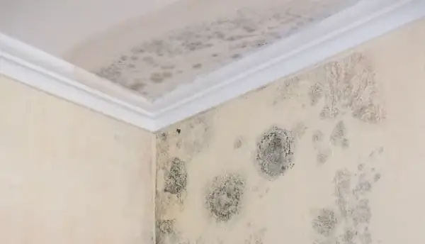 Badezimmer Tapete: So vermeiden Sie Schimmel und Schäden beim Anbringen