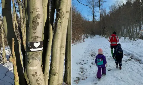 Rodzina podąża szlakiem białych serc przez ośnieżony las.