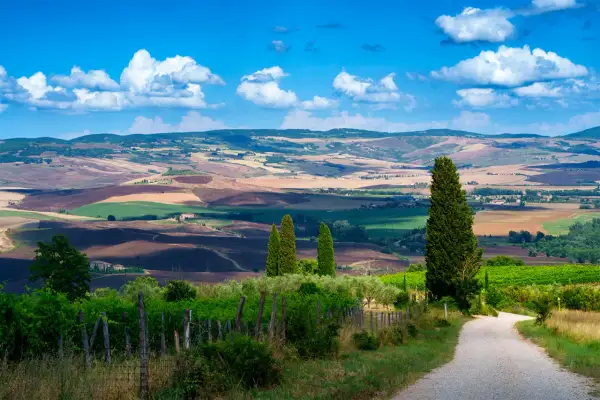Strada sterrata attraversa dolci colline coltivate nella regione del Chianti, sotto un cielo azzurro con nuvole bianche.