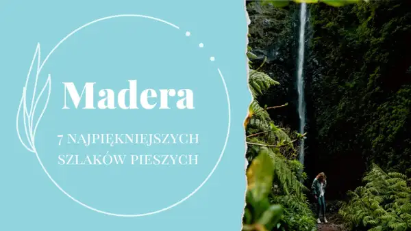 Madera: 7 najpiękniejszych szlaków pieszych. Wodospad i bujna roślinność zapraszają na wędrówkę.