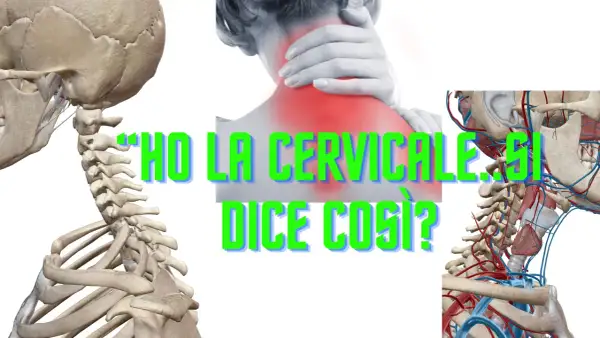Anatomia del collo e scheletro umano, con un'immagine di dolore cervicale e la scritta "Ho la cervicale. Si dice così?".