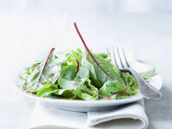Frischer mangold salat mit Vinaigrette auf einem Teller, daneben eine Gabel.