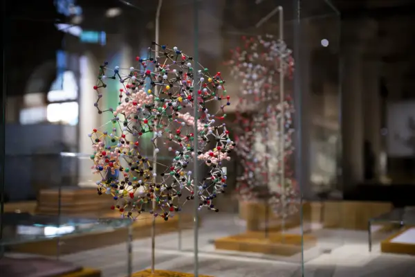 Molekylmodeller i glasmonter, en fascinerande utställning som ger en inblick i vetenskapens värld. Perfekt för nobel prize museum reviews.