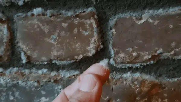 Ein Finger berührt weiße Ablagerungen auf einer Ziegelwand. Dies zeigt, wie Salpeter entsteht, oft durch Feuchtigkeit und chemische Reaktionen.