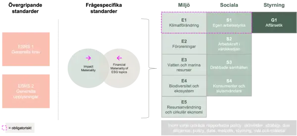 Schema för CSRD-direktivets standarder: övergripande, specifika, miljö, sociala och styrning.