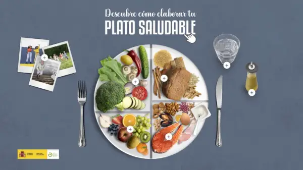 Un plato dividido en cuatro secciones muestra alimentos variados: verduras, frutas, cereales y proteínas. Es el plato del buen comer, ideal para una dieta equilibrada.