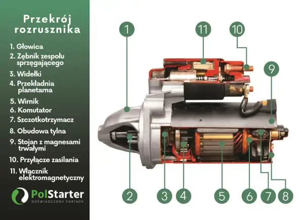 Przekrój rozrusznika ukazuje jego budowę: głowicę, zębnik, widełki, przekładnię planetarną, wirnik, komutator, szczotkotrzymacz, obudowę, stojan z magnesami, przyłącze zasilania i włącznik elektromagnetyczny.