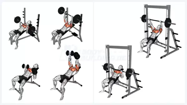 Untere Brust formen: Mein Guide für maximale Definition & Kraft