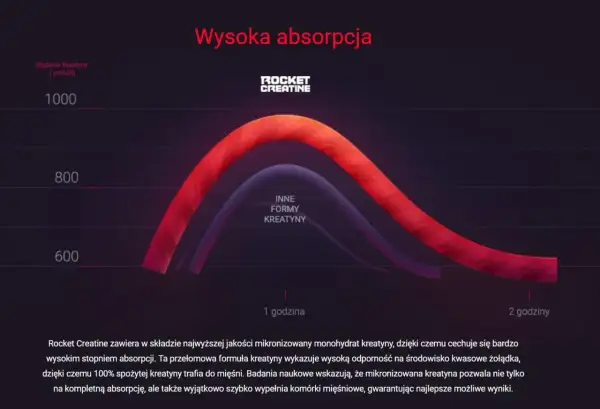 Wykres pokazuje wysoką absorpcję kreatyny. Kiedy brać kreatynę? Rocket Creatine zapewnia 100% wchłaniania.