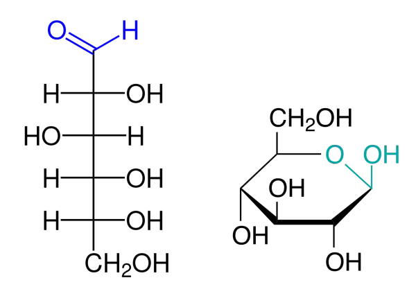 Chemische Strukturformeln: Formaldehyd (links) und Wasserstoffperoxid (rechts), relevant für den Benedict-Test.