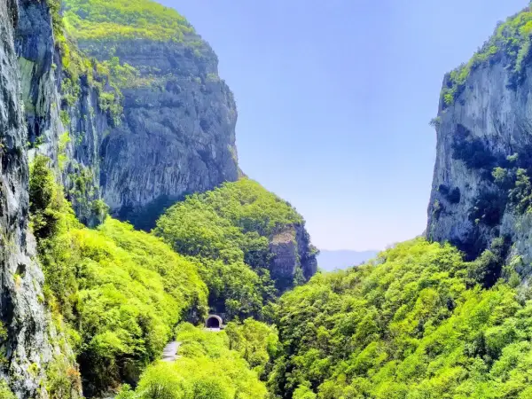 Un chemin serpente à travers les Gorges du Loup, menant à un tunnel creusé dans la roche, entouré d'une végétation luxuriante. L'itinéraire des Gorges du Loup offre un paysage spectaculaire.