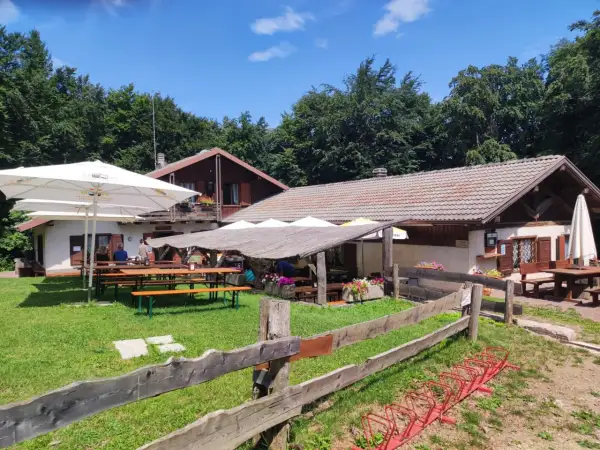 Rifugio immerso nel verde, con tavoli all'aperto e un'area relax. La verla di Giovo, un luogo ideale per una pausa nella natura.