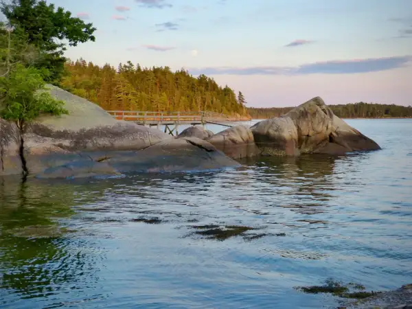 Kamieniste wybrzeże i drewniany pomost w jednym z parków narodowych w Stanach Zjednoczonych. Księżyc w pełni nad lasem.