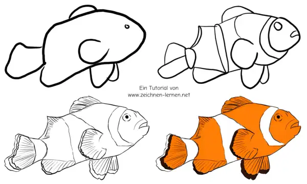 Tutorial de **peces para dibujar**: un pez payaso en cuatro etapas, desde un boceto simple hasta un dibujo a color.