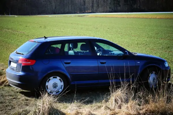 Granatowe Audi 8P na tle zielonego pola i lasu.