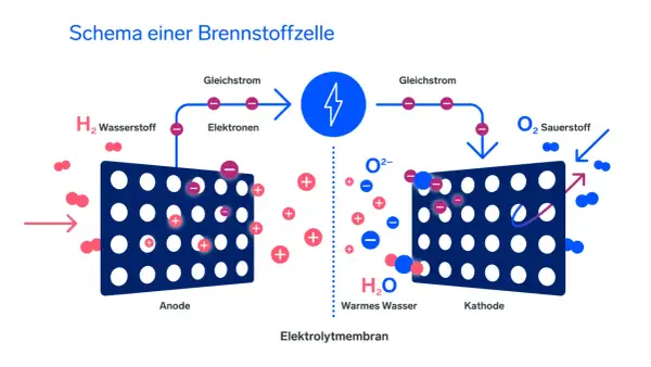 Schema einer Brennstoffzelle: Wasserstoff wird an der Anode in Elektronen und Protonen aufgespalten. Die Nachteile der Brennstoffzelle sind u.a. die Kosten.