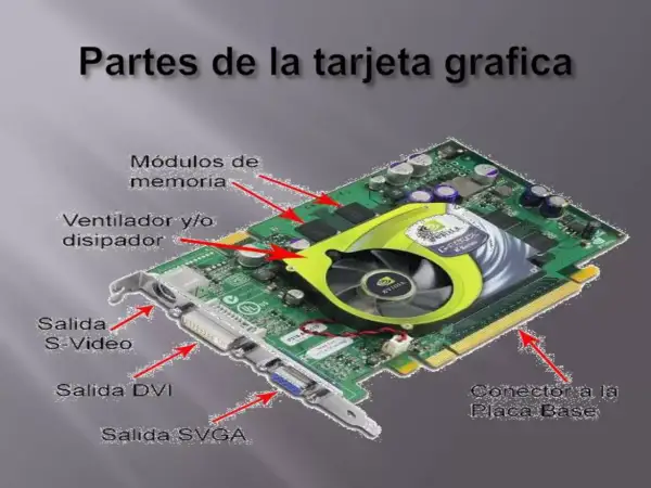 Tarjeta gráfica con ventilador, módulos de memoria, salidas S-Video, DVI, SVGA y conector a la placa base.