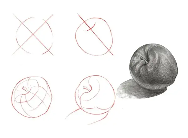 Ilustración de dibujos paso a paso de una manzana, desde bocetos iniciales hasta un dibujo sombreado realista.