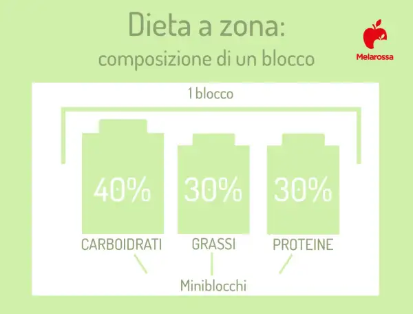La dieta a zona illustra la composizione di un blocco: 40% carboidrati, 30% grassi, 30% proteine.
