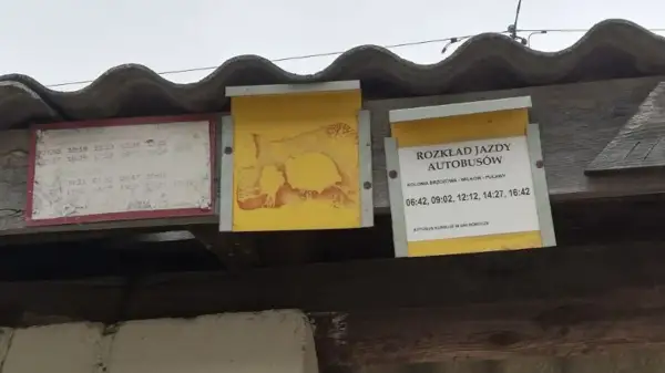 Rozkład jazdy autobusów na trasie Lublin-Parczew. Widoczne tablice z godzinami odjazdów.