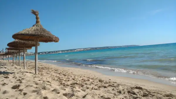 Solig strand med halmtaksparaplyer längs kusten vid Palma de Mallorca. Turkost vatten och en klarblå himmel.
